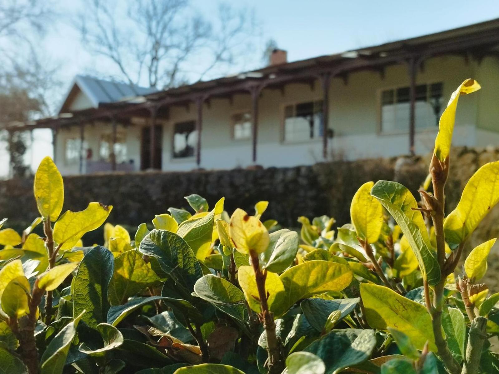 Bed and Breakfast Tumble In Underberg Zewnętrze zdjęcie